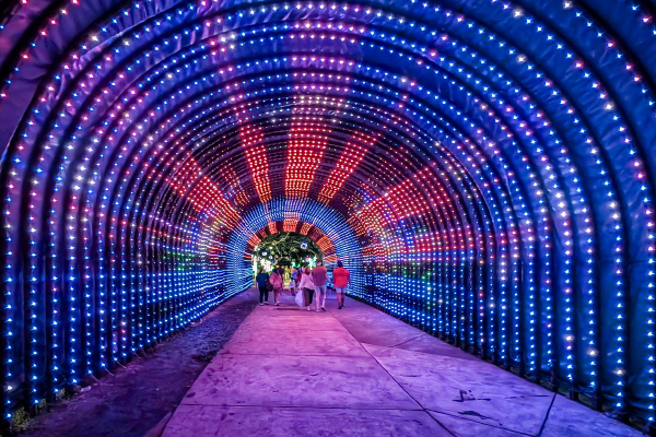 Holiday Lighted Tunnel